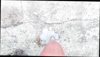 Video 1655070051: daddy fucks twink bareback, twink bareback fucks cum, twink anal fucks bareback, twink bareback ass fucking, twink fucked bareback gay, twink bareback fucking teen, african twinks bareback fuck, fuck white twink bareback, bareback fuck young twink, big dick twinks bareback, twink big cock bareback, twinks bareback cumshot, twinks blowjob bareback, barebacks black twink, gay twink fucks straight, bareback fuck cum eating, bareback fucking guys ass, twink cum swallow, twink masturbate cum, dads fuck twink, bareback fucking gay man, twink handjob cum, twink cum load, indian twink fuck, massive cock bareback, fucking bareback hd, masturbation semen