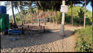 Video 1664209183: amateur solo male, india solo