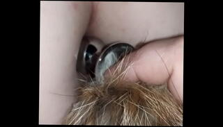 Video 1562703955: taboo ass, big ass rough