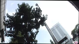 Video 1625944611: hairy pussy uncensored, japanese hairy uncensored, sexy hairy pussy babe, hairy pussy sex toy, hairy pussy asian slut, hairy pussy drilled, cocks hairy pussy, blowjob hairy pussy, hairy pussies straight, sexy hairy man, hairy pussy public, hairy pussy outdoors, sex uncensored hd, babes naughty cock sucking