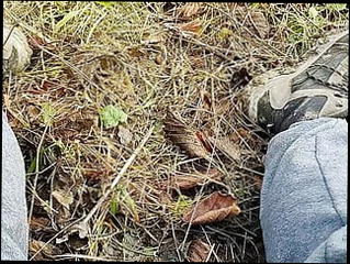 Video 1575314171: hairy voyeur amateurs, gay hairy cum, hairy big cock cum, hairy cock masturbation, hairy bear cumming, hairy men cumming, hairy man cum, hairy guy cums, hot hairy gay men, fat hairy cock, hairy muscular guys, hairy outdoor, hairy romanian, hairy public, hd hairy, dick outdoor cums, dirty clothes