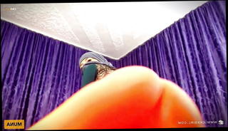 Video 1521038201: webcam cam, webcam straight, muslim hijab webcam, arab webcam