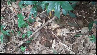 Video 1665762263: amateur anal sex creampie, fucking couple creampi hardcore, anal sex hot creampie, creampie hard anal sex, pinay creampie sex, standing creampie sex, creampie outdoor sex, fucking hot asian creampie, public sex creampie, dogging creampie, behind creampie, creampy flash, creampie natural, petite sex
