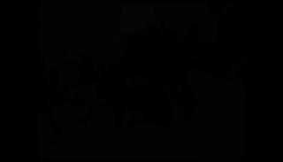 Video 1655489335: vintage retro, toon cartoon, vintage erotic, secrets vintage