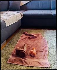 Video 1664460491: crossdresser sissy dildo solo, sissy femboy rides dildo, femboy sissy anal dildo, crossdresser sissy femboy shemale, fetish crossdresser sissy, crossdresser anal dildo toy, sissy crossdresser homemade, beautiful sissy femboy, latex dildo, stockings rides dildo, boots dildo, european dildo, swiss anal