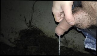 Video 1572799465: men pissing, pissing outdoors