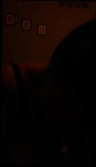 Video 302707001: homemade amateur dirty, tits blowjob big boob, amateur straight blowjob, homemade dirty talk, dirty talk part 1