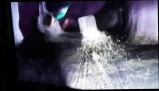 Video 1659170731: grace harper, bbc doggy style creampie, bbc dildo doggy style, interracial doggy style creampie, bbc dildo solo, solo dildo masturbation orgasm, dildo fucking creampie blowjob, solo girl dildo masturbating, interracial fuck creampie amateur, bbc dildo deep throat, fucking huge bbc dildo, teen doggy style creampie, white girl bbc creampie, interracial black cock bbc, big tits solo dildo, solo dick creampie, rough doggy style creampie, loves doggy style creampie, hard doggy style creampie, blonde bbc creampie, solo female dildo, woman fucked doggy style, solo masturbation nude, solo masturbating straight, doggy style face fucking, doggy fucking old blonde, man doggy style fuck, older woman solo, teen creampie hd, 18 year old creampie, creampie clinic, english bbc, blonde cock slut