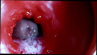 Video 1655642765: fetish creampie, creampie solo, cock sex toys fetish, amateur blowjob creampie sex, sex doll creampie fuck, huge cock solo cum, creampie moaning orgasm, cock cum hard solo, sexy solo orgasm, fuck big cock creampie, creampie huge cum load, orgasm creampie close, wild creampie orgasm, redhead solo orgasm, fucked beautifully creampie, ruined creampie, fast creampie, sperm close, sweet sperm, hole sperm