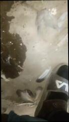 Video 1624082311: solo piss, gay homemade solo, homemade amateur solo, desi pissing, pissing hd, good boy friend