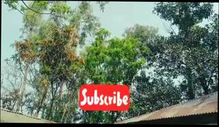 Video 1624903571: homemade strapon, hot strapon, hottest strapon, student striptease, straight student, hottest homemade celebrities, stranger homemade, funny homemade, stories straight