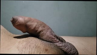 Video 1228440605: cock small dick, pulsating dick