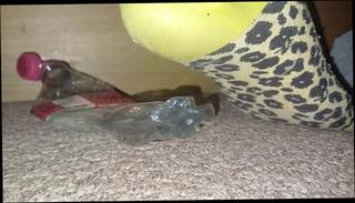 Video 1622075703: feet fetish solo, male feet fetish, amateur solo male, crush fetish, feet trample, boots feet