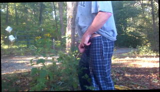 Video 1273891285: hard dick soft