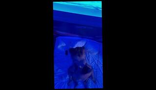 Video 1658441193: bbw compilation, amateur sex couple bbw, tits bbw amateur, amateur bbw big tits, amateur latin bbw, big dick compilation, bbw hotel, jacuzzi amateur