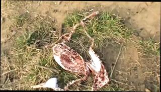 Video 1656689951: hairy couple fucking, hairy amateur couple, hairy sex amateur, hairy housewife fucking, homemade hairy, hairy cum, hairy straight, hairy italian, hairy tattooed, private hairy, hairy outdoor, hd hairy, perverse italian amateur sex, amateur couple home sex, titty fuck sex, couple secret sex, couples sex games, amateur parking sex, inside perverse, sex time