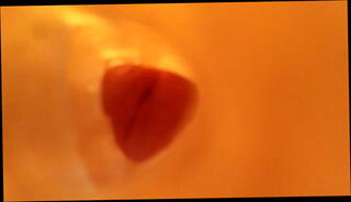 Video 418874135: solo male fleshlight, fleshlight creampie, boy solo cumshot, inside fleshlight