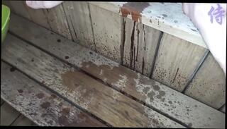 Video 1657227311: horny jav uncensored blowjob, horny jav uncensored amateur, hottest jav uncensored blowjob, uncensored jav japanese, jav uncensored hd, pissing jav, hentai horny asian sluts, piss pussy ass, chick pissing, piss straight, bathroom uncensored, cutie pissing