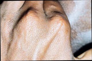 Video 1658104231: gay bareback twink boy, twink boys bareback fuck, twink bareback fucking teen, sexy twink bareback gay, bareback twink gay sex, twink bareback fucking amateurs, gay asian twink bareback, twink grandpa fuck, homemade twinks bareback, dick twinks bareback, bareback twink cock, twink first time bareback, twink old grandpa, twink barebacked roughly, barebacks black twink, gay twink boy naked, twinks gays boys masturbations, twink boy fisting, twink boy jerking, boy toy bareback, bareback fucking gay man, gay men bareback sex, chinese boy bareback, old teen twink, indian twink boy, pakistani twink gay, filipino gay twink, fucking bareback hd, 18 year old twink, high heels barebacked, grandpa load, bareback locker, korean twink