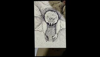 Video 1658265283: amateur