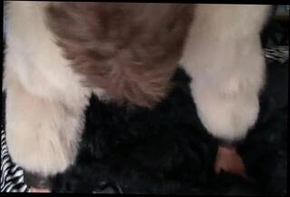 Video 299581201: cum gay sexy, masturbation gay sexy, sexy amateur masturbating, sexy bear cum, sexy man masturbating