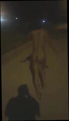 Video 1538223001: public nudity nude naked, public nudity girl, nudity boys, public nudity outdoor, naked straight boys, boy friend naked, boy friend behind, camera girl friend, boy friend hd