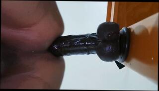 Video 1654784923: pov doggy fucking ass, amateur pov doggy style, dick doggy style pov, pov anal doggy style, cock doggy style pov, pov amateur solo male, big cock pov doggy, pov ass fetish, fetish gay solo, pov doggy style black, doggy style butt fucking, straight amateur solo, thick cock doggy style, guy fucked doggy style
