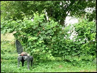 Video 1600943581: old grandpa wanking, old grandpa gay, grandpa daddy, grandpa masturbate, amateur grandpa, old mature grandpa, grandpa outdoors, grandpas public, amateur masturbation hd, american daddy, naked