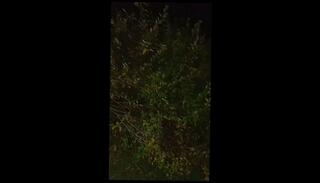 Video 1658072953: boy solo cumshot, solo boy sex, amateur solo boy, boy solo male, skinny jerking, car solo, skinny jeans, solo czech