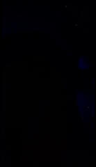 Video 1619983741: dick shemale, slut