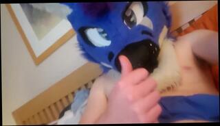 Video 1589053243: furry solo, solo amateur jerking, dick solo jerk, ass jerks solo, solo jerk gay, amateur webcam solo, gay solo handjob, furry balls, solo male jerking, balls head
