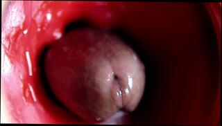 Video 1656036003: fetish solo masturbation, solo masturbation moaning orgasm, solo masturbation pussy toying, solo anal toy masturbation, toys solo masturbation ass, cock masturbation solo cumshot, solo male moaning cumshot, hard dick masturbating solo, amateur solo male masturbation, solo big dick cumshot, fetish hardcore anal, fetish blowjob anal, close solo amateur, best amateur fetish, massive dick solo, solo masturbation inside, sperm fetish, camera solo, huge cum load