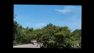 Video 1653201705: homemade pov doggy style, pov doggy style sex, pov blowjob doggy style, amateur pov doggy style, pov amateur skinny, pov latin doggy style, pov doggy style deep, rough doggy style pov, skinny brunette pov, homemade pov deep throat, tits pov deep throat, sex public pov blowjob, sex pov curvy latin, natural tits doggy style, beauty pov blowjob, doggy style hair, sucking public, high sucking, friend sucking