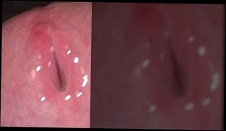 Video 1664199053: dick solo masturbation, cock solo masturbation, amateur solo cock, dick solo male