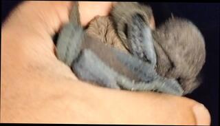 Video 1664984721: homemade compilation porn, homemade anal compilation, gay porn compilation, anal masturbation compilation, jerking compilation, porn compilation hd, pornstar compilation, good compilation, indian compilation, compilation close, mom jerking