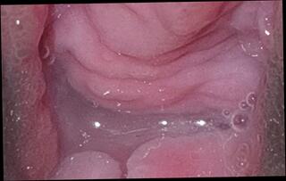 Video 1664067291: amateur solo pussy, solo amateur cum, indian pussy solo, cum close solo, nude solo, couple solo, solo straight, solo 18 years, older solo, fantasy solos, solo hd, cum inside first time, indian desi pussy