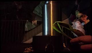 Video 1664753693: amateur solo handjob, solo amateur toys, solo male handjob, amateur asian solo, korean solo male, handjob behind