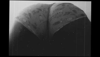 Video 1654499753: big ass amateur solo, fat ass solo, ass ebony solo, black ass solo, amateur solo female, daddy ass