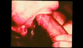 Video 1656683781: vintage milf sex, dirty milf pussy, milf pussy riding, tits milf riding, classic vintage sex, vintage pussy eating, dirty brunette milf, nasty brunette milf, brunette milf small tits, vintage straight, pig milf, hd vintage, dirty prostitute