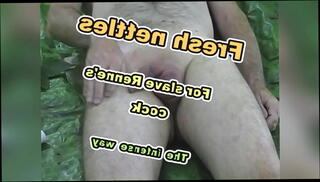 Video 1324933235: cbt torment, punished tormented, bdsm torment, penis punishment, cock torment
