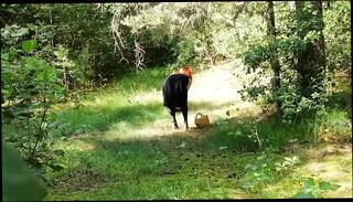 Video 1663402581: red fox, pussy sex machine, amateur sex machine, sex machine cumshot, sex machine blowjob, pussy eating machine, blonde sex machine, love sex machine, wife machine, caught red, machine outdoor, machine hd, amateur straight blowjob, straight tattooed amateur