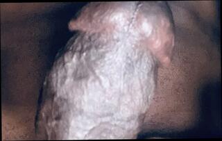 Video 1657033411: solo cumshot bbc masturbating, cumshot masturbation gay solo, bbc cum dripping, bbc cock cum, amateur bbc cumshot, solo masturbation nude, solo masturbation close, solo masturbation hd, bbc rod