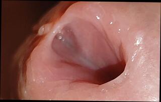 Video 1663504651: solo gay boy masturbates, teen boy solo masturbation, gay porn bareback boy, dick solo masturbating cumming, solo cock masturbation cum, gay sex bareback boy, amateur homemade solo masturbation, cock masturbation solo cumshot, young boy solo masturbation, bareback homosexual sex, big dicked bareback boys, gay sex guys bareback, gay men bareback sex, sex gay muscle bareback, hot bareback gay sex, bareback straight boys, big cock blowjob bareback, first time bareback boy, breeding bareback boys, old men masturbating solo, old man solo cum, mature solo masturbation, solo masturbation hd, cum filled hole, cum wide, cum close