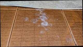 Video 1663949861: bbw wife fucked doggy, bbw fucked doggy style, bbw fucking pregnant, bbw ass doggy style, big ass bbw doggy, amateur couple fucking doggy, bbw wife fucked cum, amateur sex couple bbw, doggy pussy ass fuck, amateur homemade bbw wife, doggy style fucking cumshot, cock doggy style fucking, beauty ass fucked doggy, hot wife fucked doggy, tits fucked doggy style, pregnant wife shared, vagina pregnant, hottest homemade doggy style, natural tits doggy style, doggy style straight, bathroom doggy style, doggy style hd, amateur slovak, first fuck