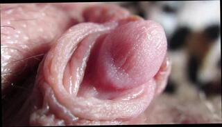 Video 1608679461: closeup pov masturbation, amateur closeup pov, closeup pov pussy, fetish closeup, masturbate wet pussy closeup, closeup pussy clit, pussy homemade closeup, girl pussy closeup, extreme closeup pussy, big clit closeup, cunt closeup, closeup pussy hd, weird fetish girl, female pov pussy, pov straight, pulsating closeup, closeup huge, giant pov, erect clitoris