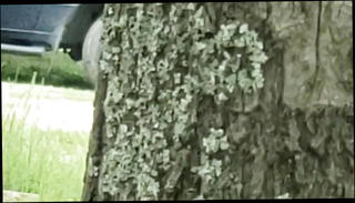 Video 1562963401: gay hunk cock sucking, sucking daddy's cock, couple cock sucking, sexy cock sucking, gay hot cock sucking, gay cock sucking young, cock sucking blowjob, suck old daddy, sucking cock outdoors, cock sucking hd