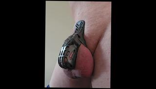 Video 1624705513: caged sex slave, cock cage slave, cuckold sex slave, bondage sex slave, fetish bondage sex, solo bondage, cock cage cum, cock cum hard solo, amateur cuckold orgasm, penis cage, male slave cock, british solo male, erect cock cum