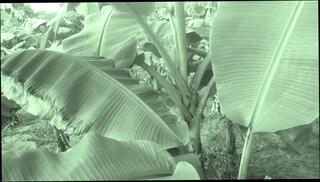 Video 1658165251: indian couple sex aunty, indian aunty hardcore sex, indian aunty homemade sex, big ass aunty sex, desi aunty homemade sex, housewife aunty sex, beautiful indian aunty sex, indian aunty old sex, wife indian aunty, desi aunty blowjob, aunty indian 18 year, long hair aunty, aunty hd, ass hardcore biggest, big ass straight