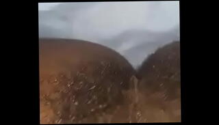 Video 1545793375: pussy playing bitch, pussy hole
