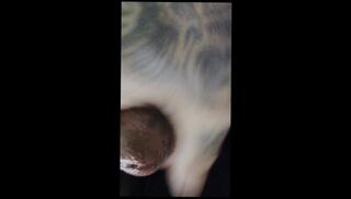 Video 1656393593: lesbian hentai anime, anime hentai milf, milf interracial lesbian, hentai anime anal, amateur milf lesbians, big ass milf solo, lesbian latin milf, milf young lesbian, old amateur milf, solo male anal, fantasy hentai